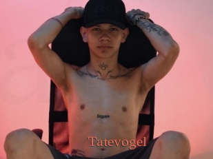 Tatevogel