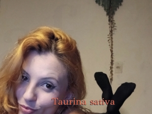 Taurina_sativa