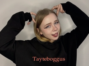 Tayteboggus