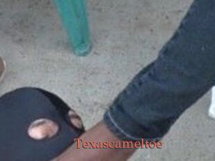 Texascameltoe