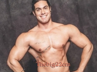 Thebig22cm