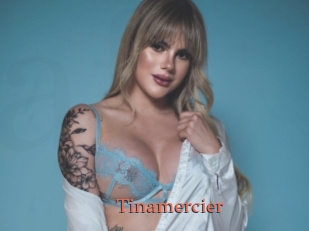Tinamercier