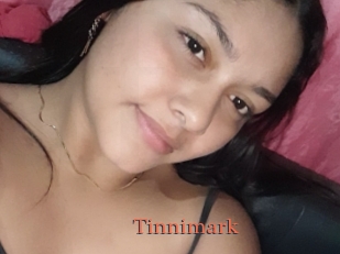 Tinnimark
