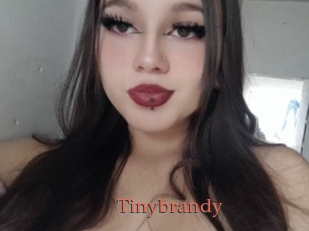 Tinybrandy