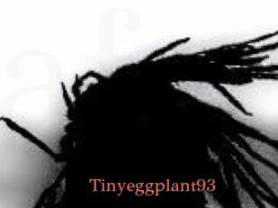 Tinyeggplant93