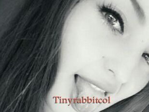 Tinyrabbitcol