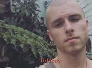 Tofu_boy