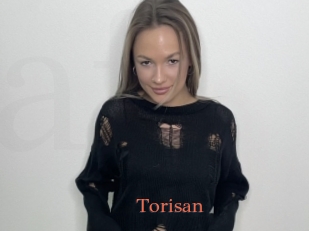 Torisan