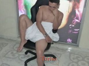 Torito