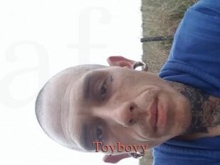 Toyboyy