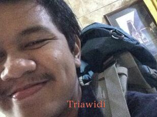 Triawidi