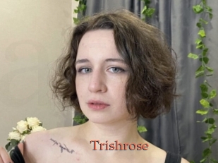 Trishrose
