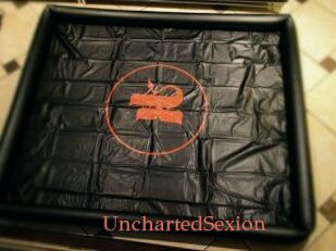 UnchartedSexion