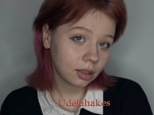 Udelahakes