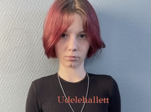 Udelehallett
