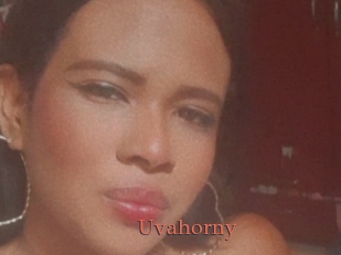 Uvahorny