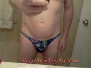 VegasBoyToyForYou