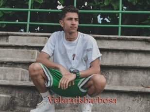 Velamikbarbosa