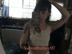 Velvetbunny97