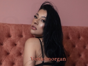 Venusmorgan