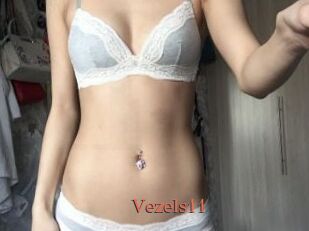 Vezels11
