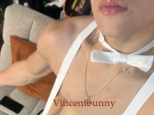 Vincentbunny