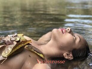 Violetrosse