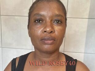 WILD_ROSEY40