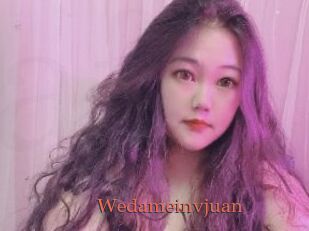Wedameinvjuan