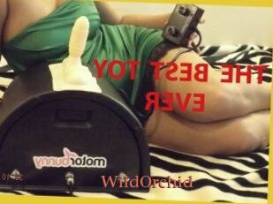 WildOrchid_