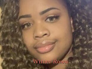 Winter_Rosea