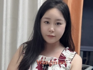 Wangmiao