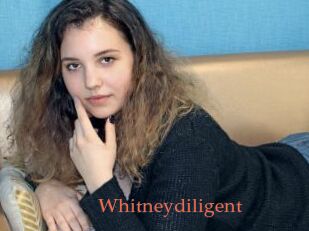 Whitneydiligent