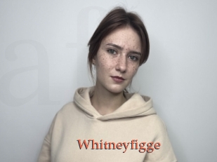 Whitneyfigge