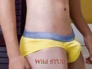 Wild_STUD