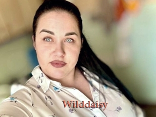 Wilddaisy
