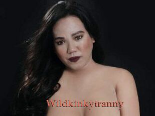 Wildkinkytranny