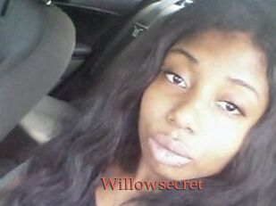 Willow_secret
