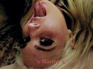 _x_Bunny_x_