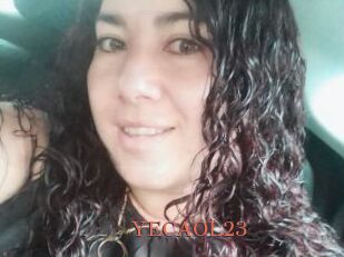 YECAOL23