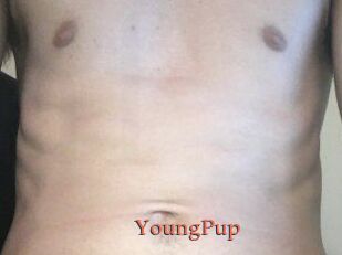 YoungPup