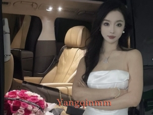 Yangqinmm