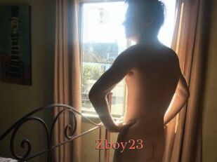 Zboy23