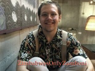 ZimbabwesOnlyZamboni