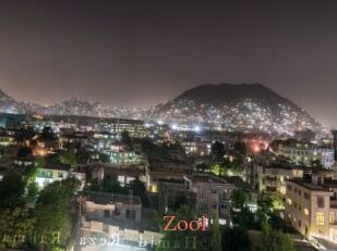 Zool