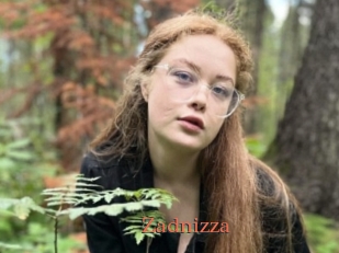 Zadnizza