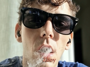 Zboy