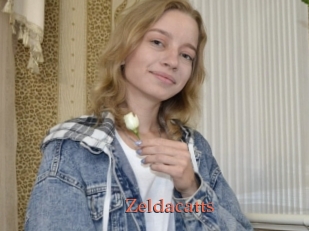 Zeldacatts