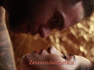 Zeusandangelica