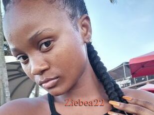 Ziebea22
